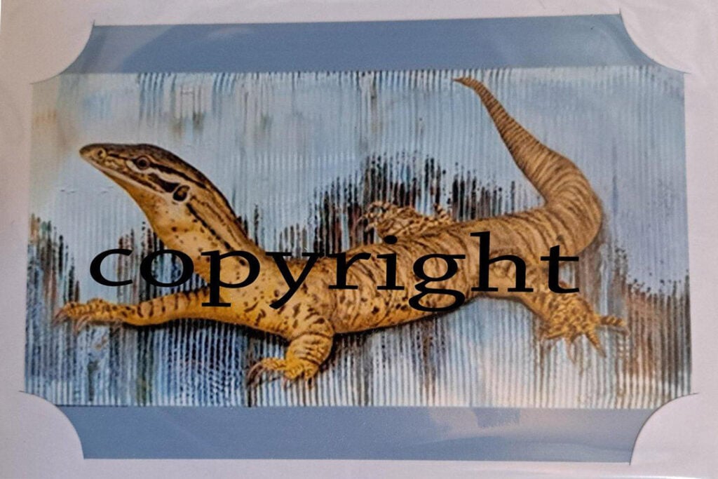 lizard card