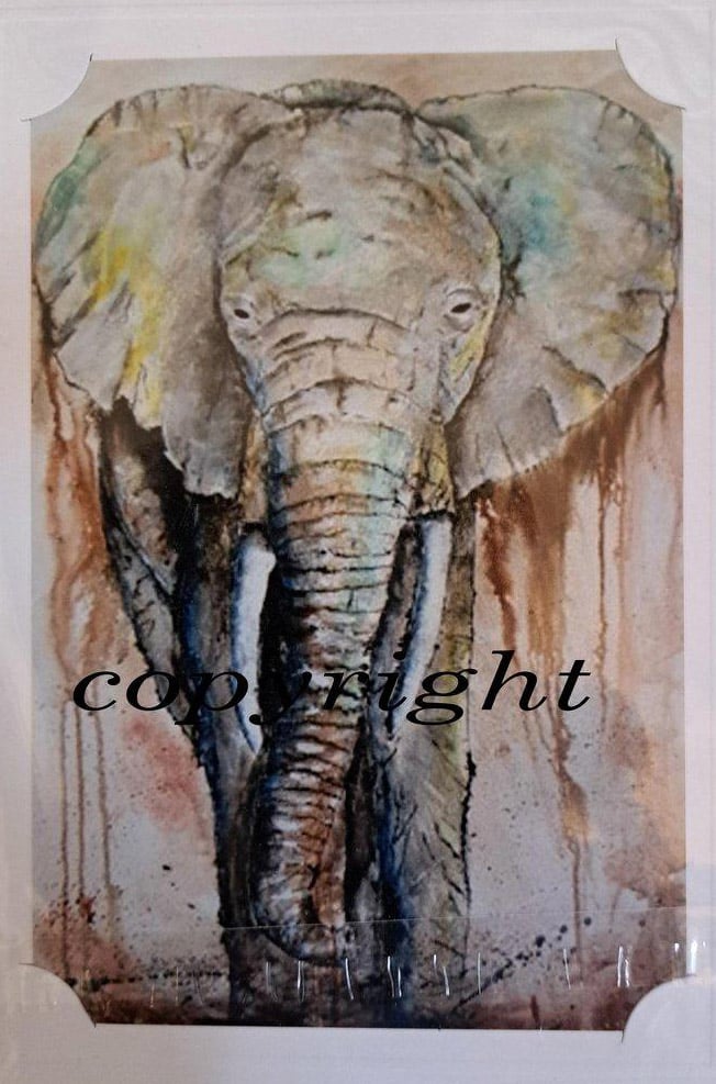 elephant card